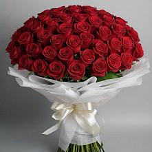 Букет 101 Красная роза Блэк Мэджик в Талакан