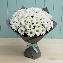 Букет цветов из:  Хризантемы в Талакан