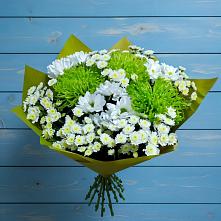 Букет цветов из:  Хризантемы #REPLACE_PRED# Талакан