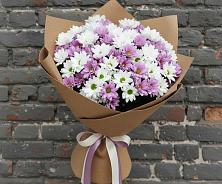 Букет цветов из:  Хризантемы #REPLACE_PRED# Талакан