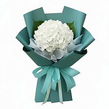 Букет цветов из:  Гортензия в Талакан